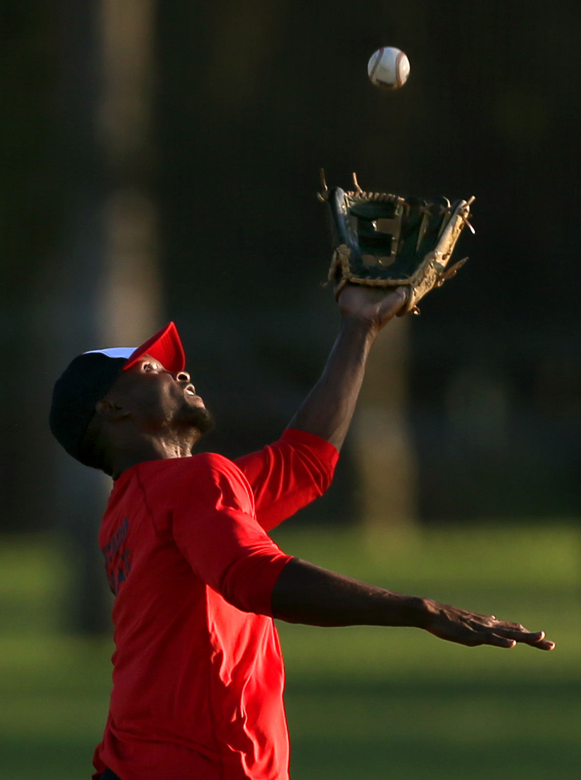 Fiesta Mexicana de Beisbol 2015
